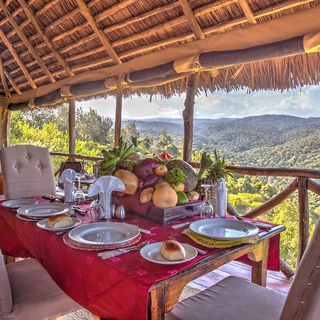 Ngorongoro Forest Tented Lodge Karatu Exteriör bild